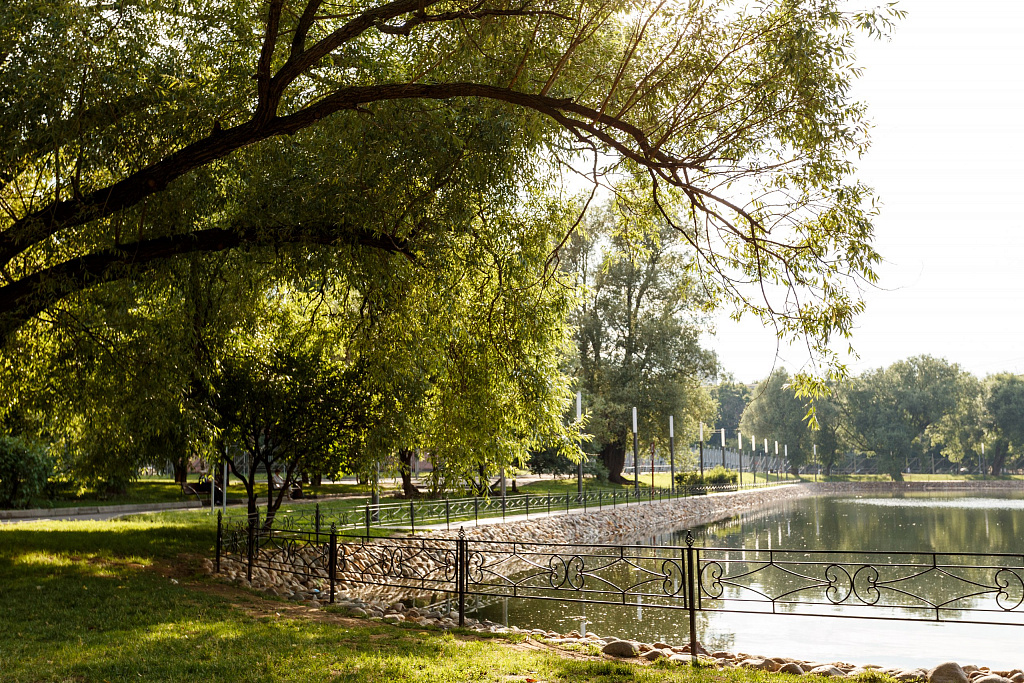 Перовский парк. Изображение 2