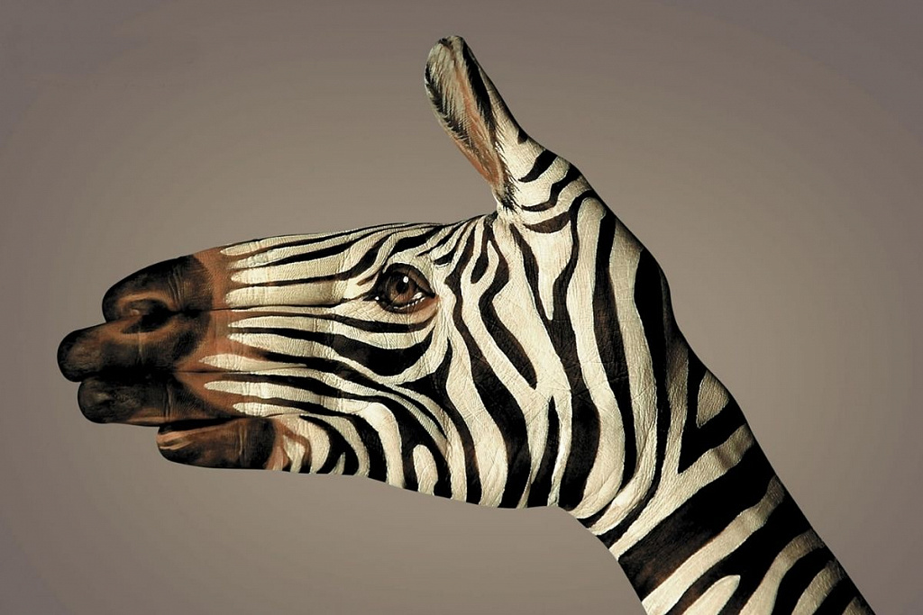 Ручные звери. Изображение 2