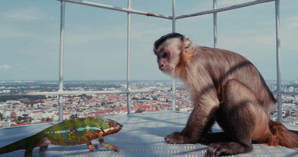 Побег из зоопарка. Изображение 11