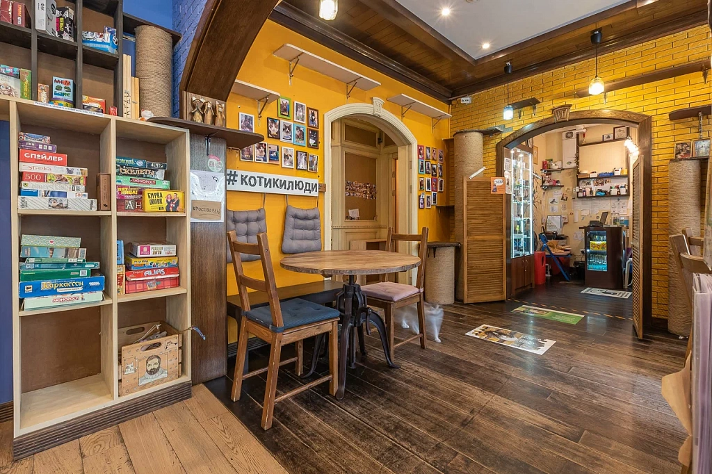 Котокафе "Котики и люди". Изображение 3