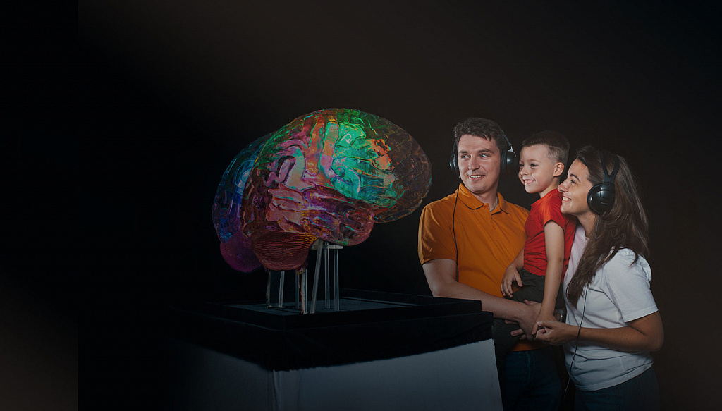 Музей мозга. Изображение 3