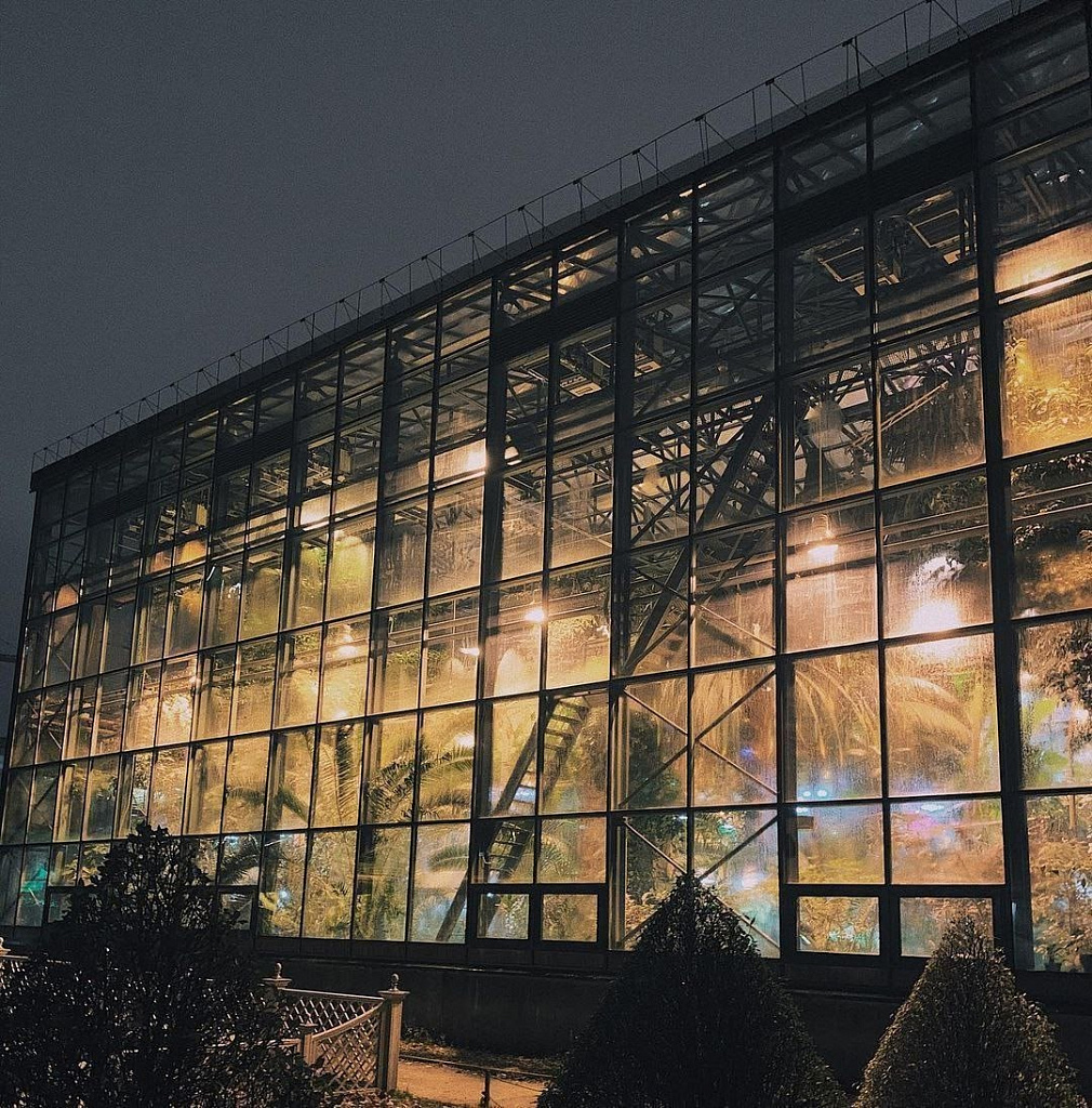 Аптекарский огород. Изображение 6