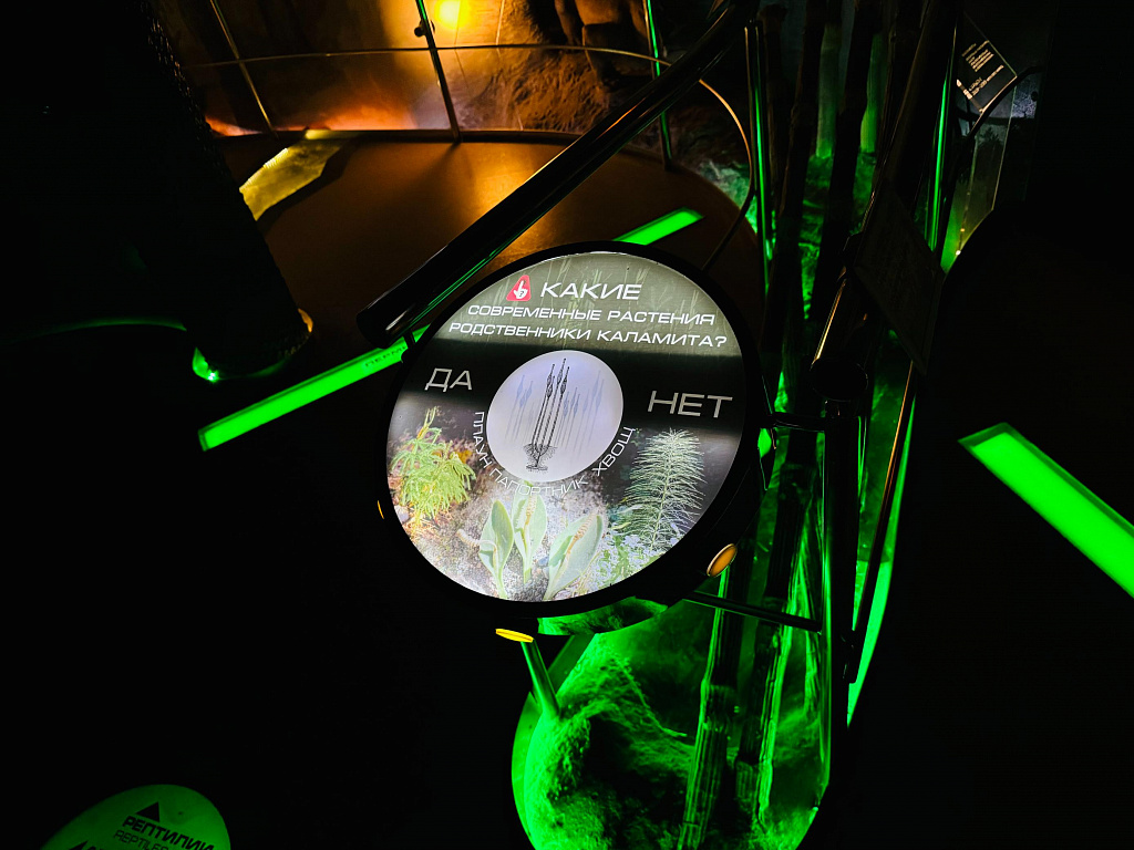 Пройди путем эволюции. Изображение 5