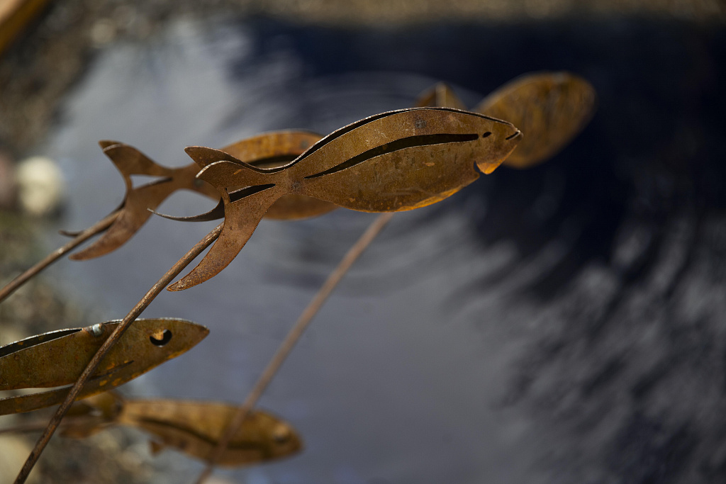 Фестиваль исторических садов в «Царицыне». Изображение 3