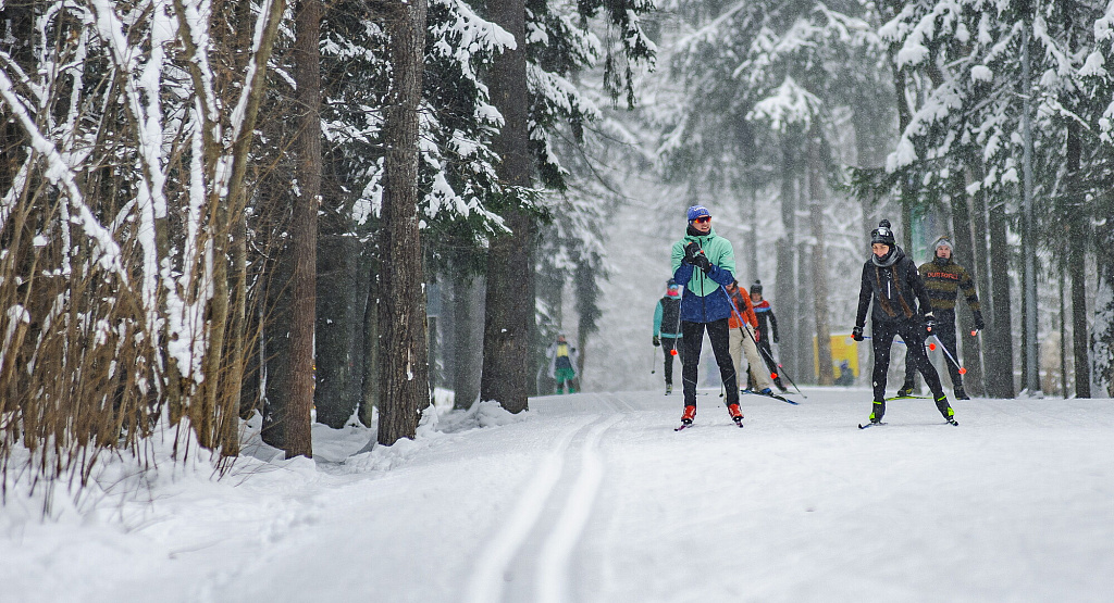 Лыжероллерная трасса Лазутинка. Изображение 3