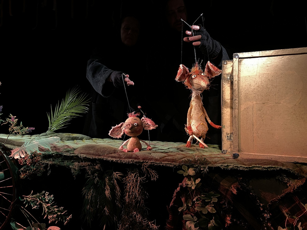 Большой детский фестиваль. Изображение 3