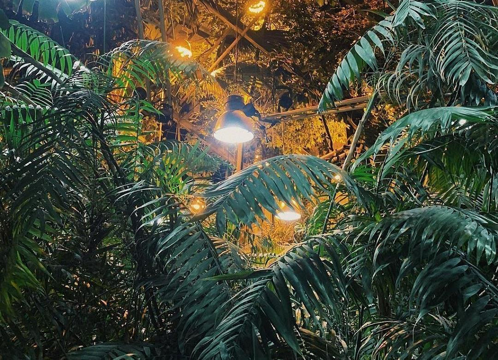 Экскурсии в Аптекарском огороде. Изображение 1