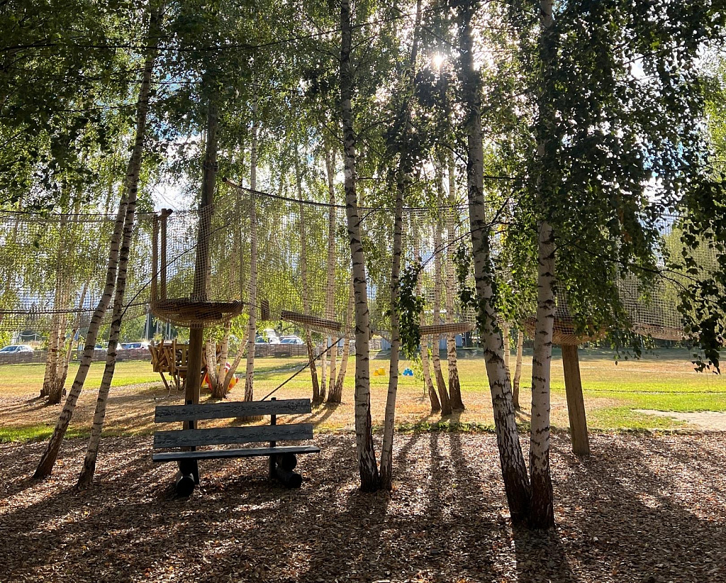 ЦЫПАрк. Изображение 8