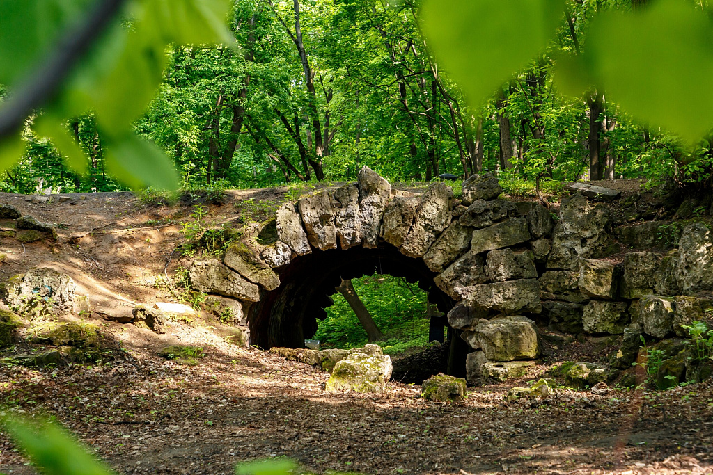 Нескучный Сад. Изображение 10