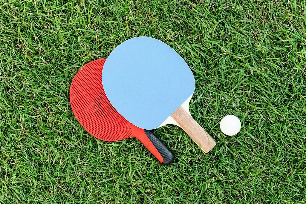 Игры на лужайке. Изображение 1