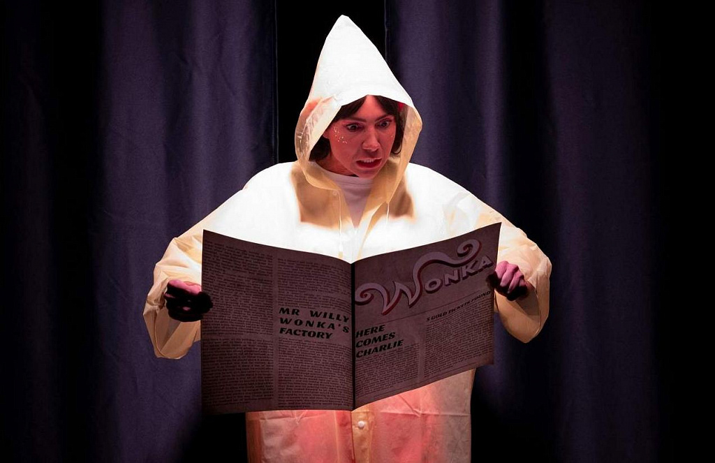 ВИЛЛИ ВОНКА. Изображение 2