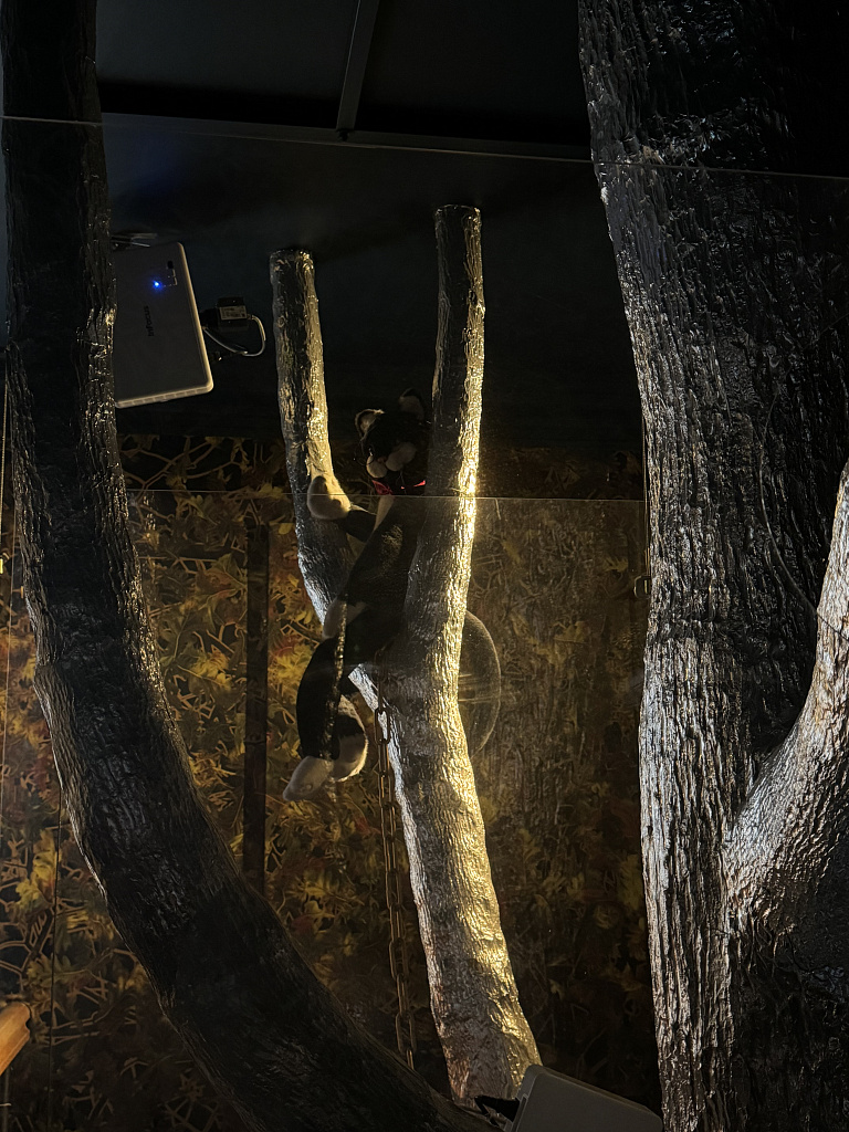 Интерактивная программа «Едем за княжной!». Изображение 7