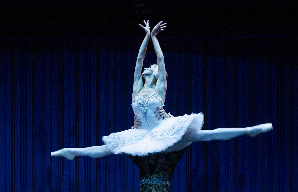 Balletgala/Гала-балет. Изображение 7