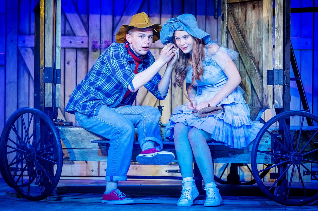 Приключения Тома Сойера (ДМТЮА). Изображение 2