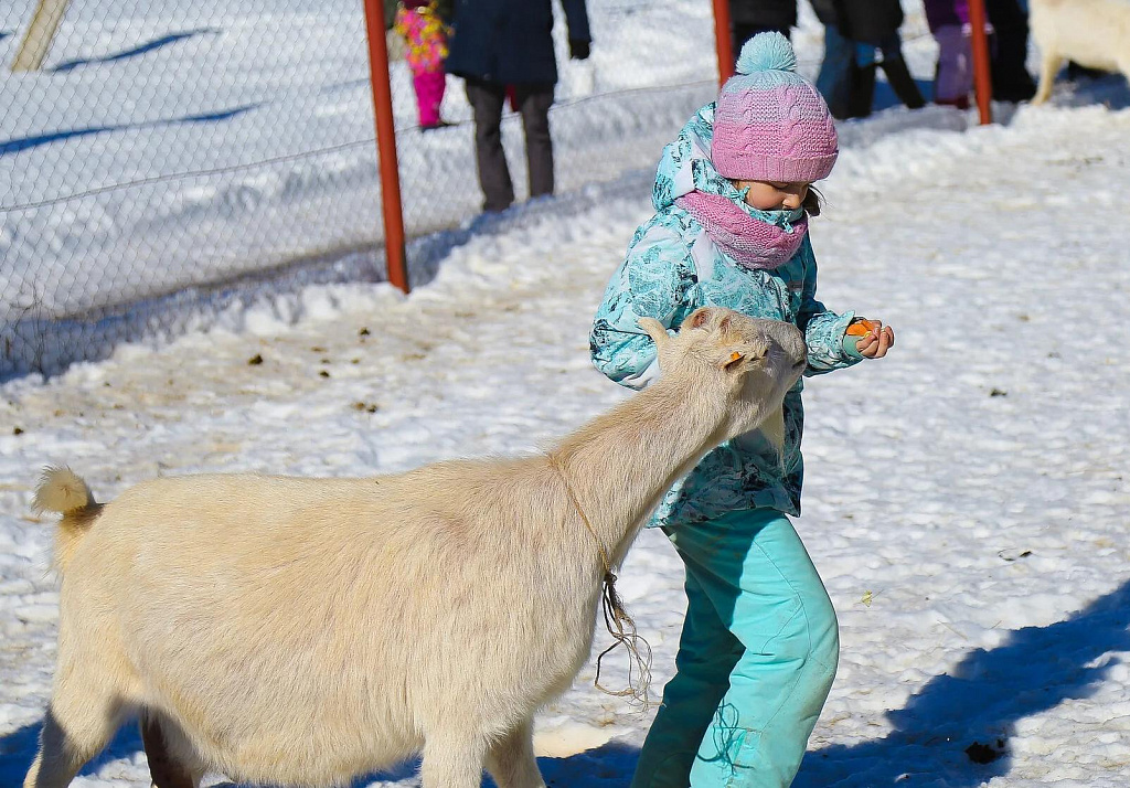 ШИРОКАЯ МАСЛЕНИЦА НА ФЕРМЕ СТРАУСОВ. Изображение 6