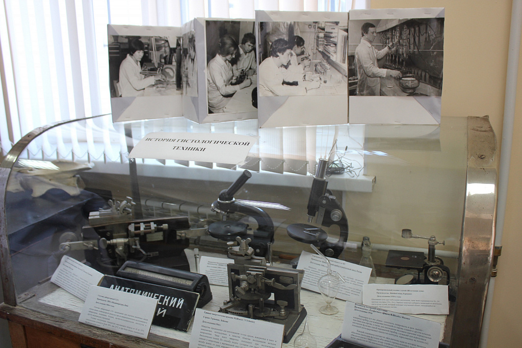 Музей Анатомии им. Б.К. Гиндце. Изображение 3