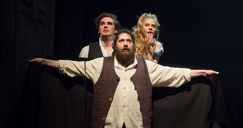 СОБАКА НА СЕНЕ (Губернский театр). Изображение 8