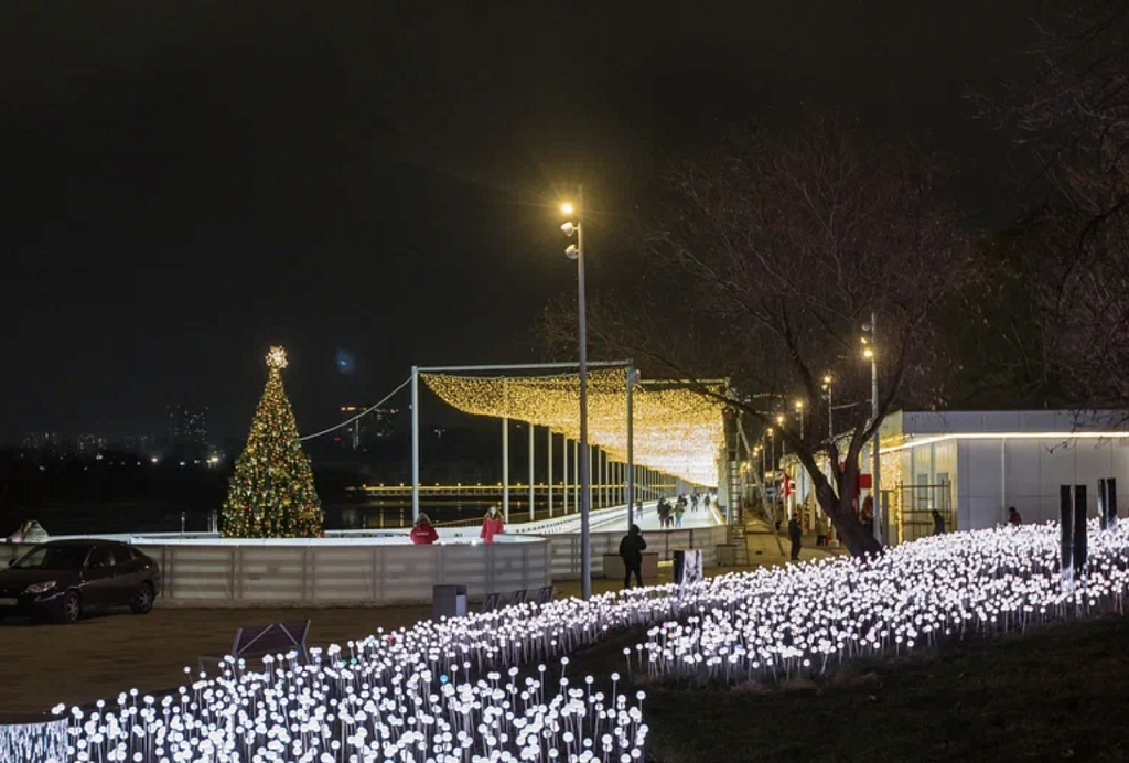 Катки в Коломенском. Изображение 3