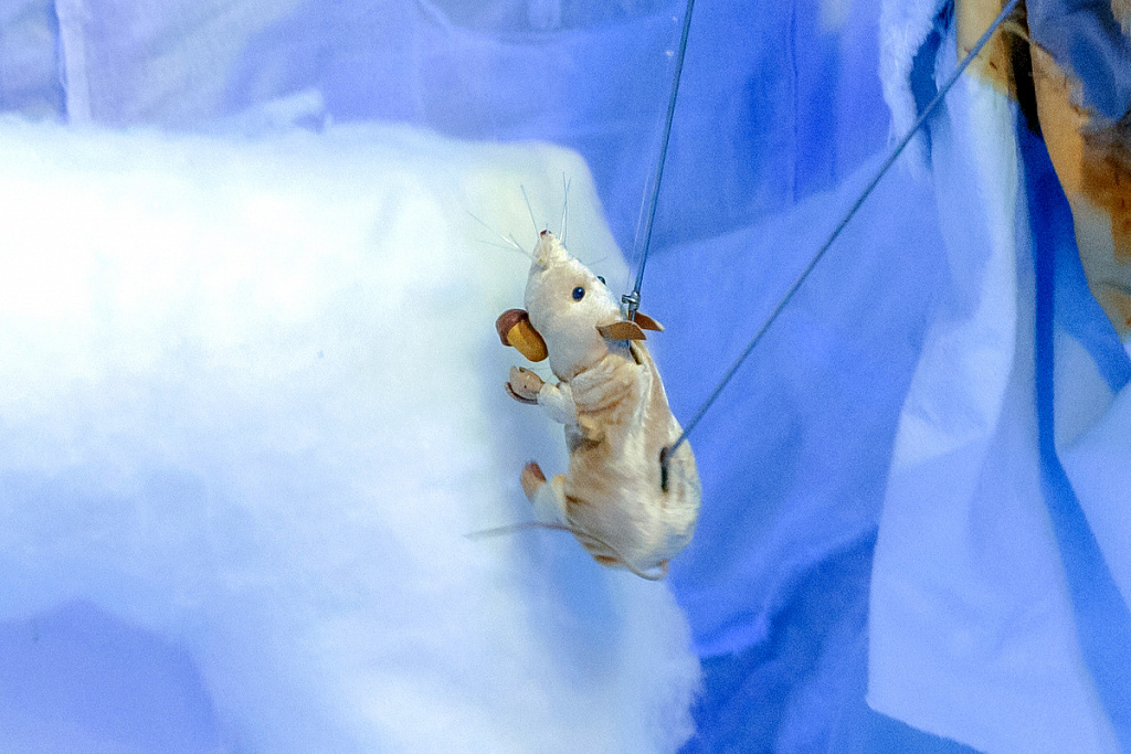 Театр на ладошке. Зима. Изображение 3