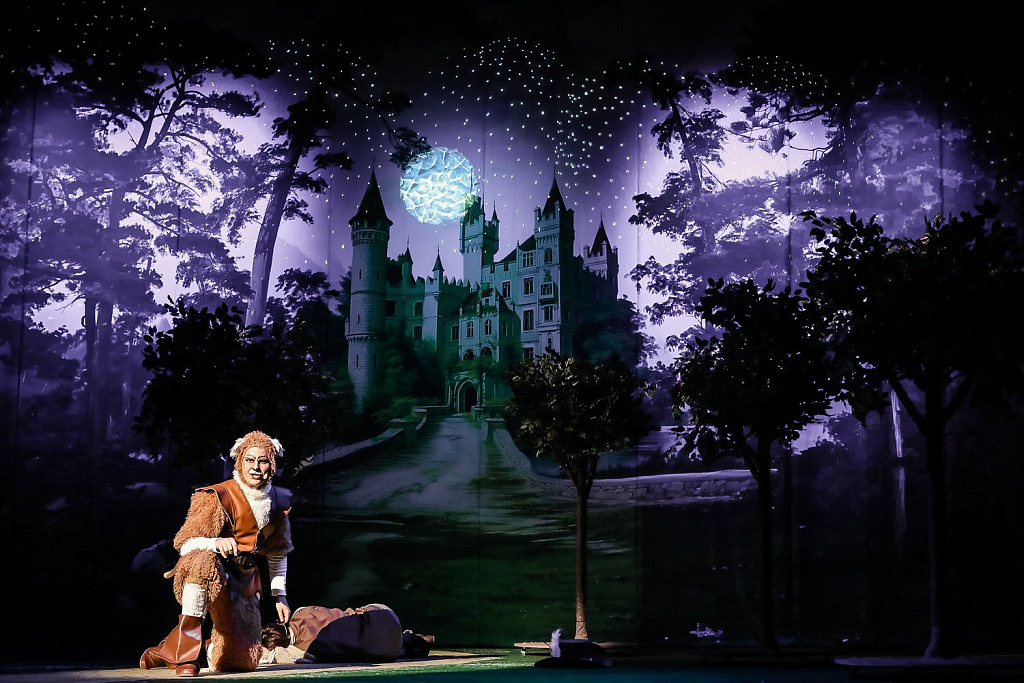 Кот в сапогах (Театр Русская песня). Изображение 11