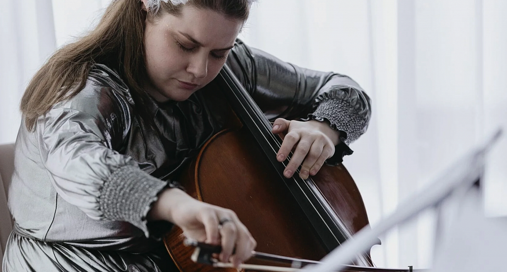 Карнавал животных (Playforsoul). Изображение 7