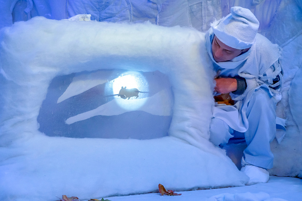 Театр на ладошке. Зима. Изображение 4