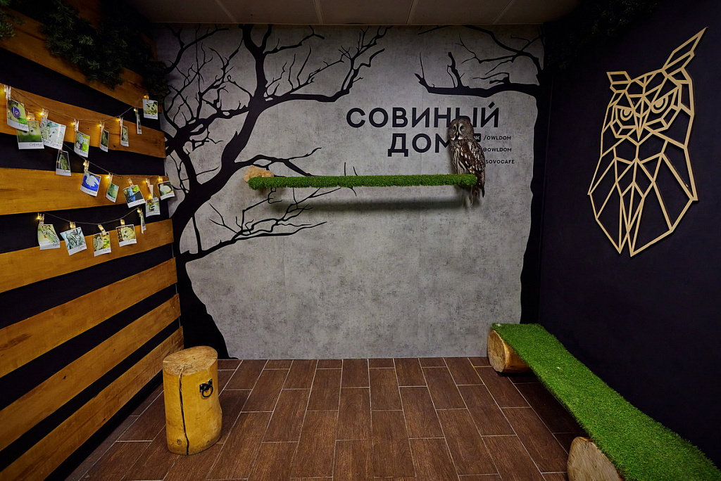 Антикафе "Совиный Дом" на Рижской. Изображение 3
