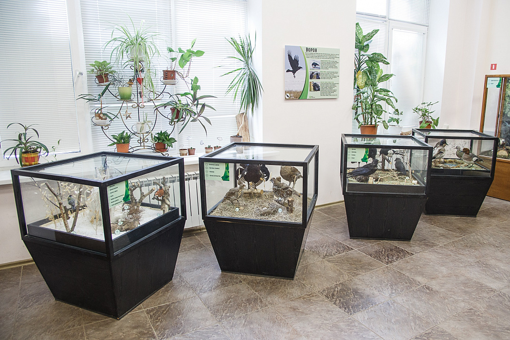 Занятия в экоцентре «Музей природы». Изображение 5