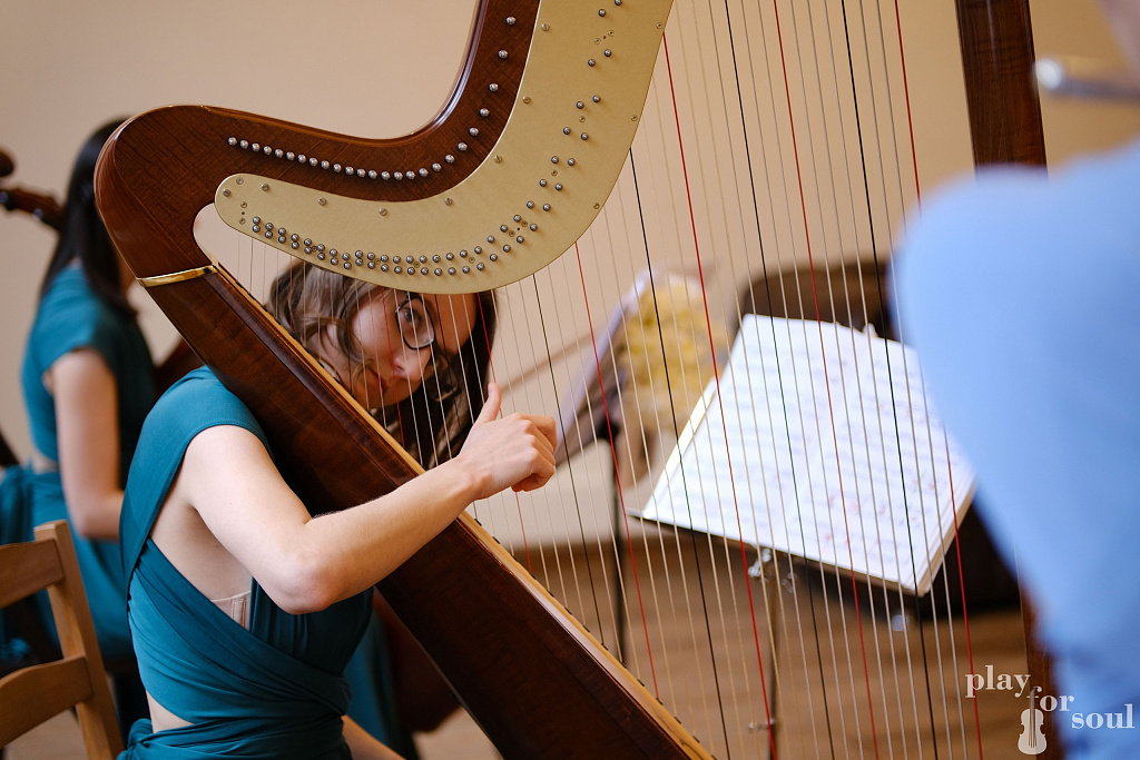 Северная сказка. Арфа. Изображение 2