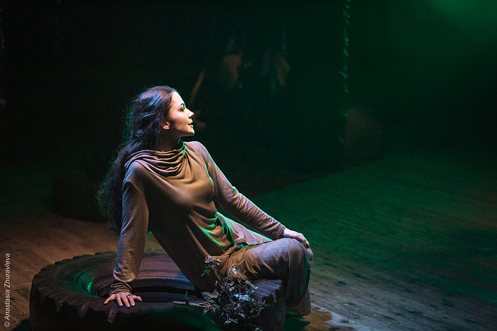 Чайка (Театр на Юго-Западе). Изображение 9