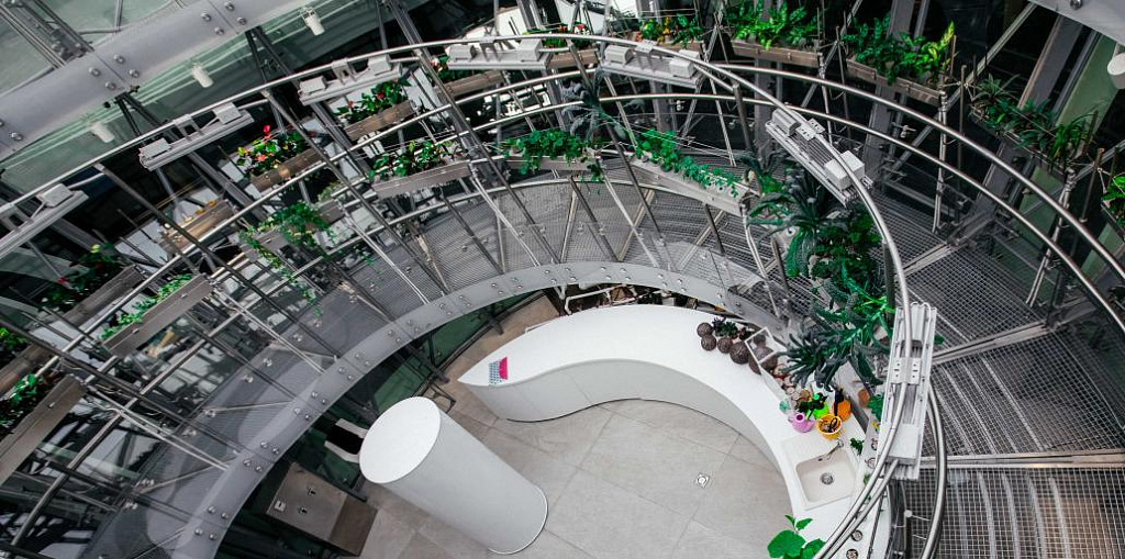 Сити-фермер. Изображение 3