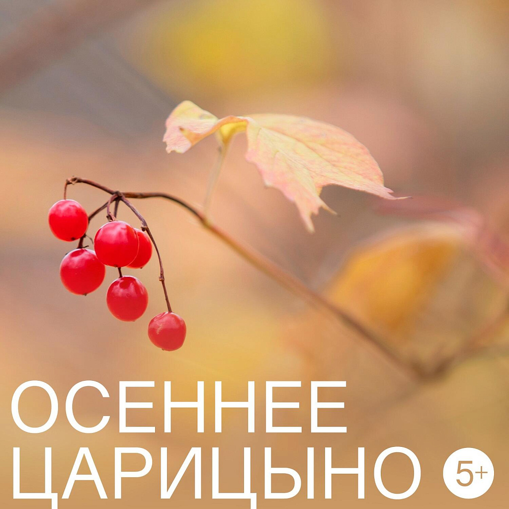 «Семейная мастерская» . Изображение 2