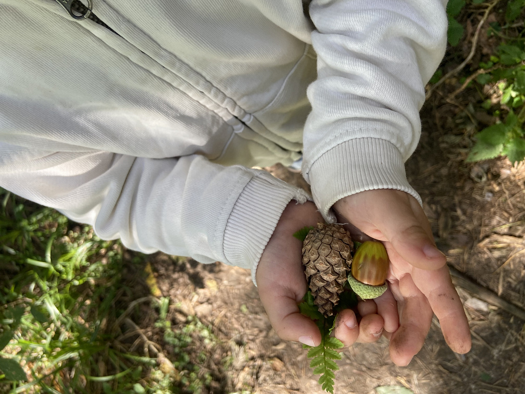 Мещерский парк. Изображение 8