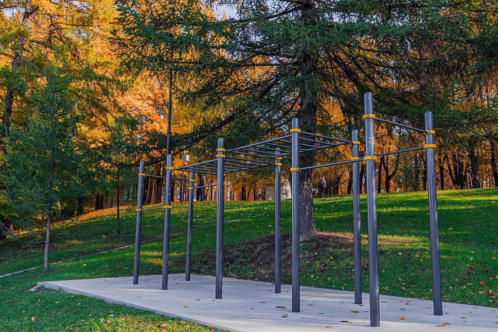 Музей-усадьба Н.А. Дурасова "Люблино". Изображение 7