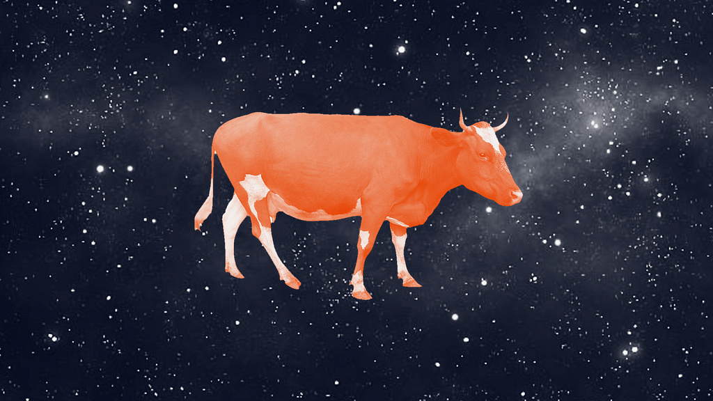 Чудо, или Как корова спасла театр. Изображение 5