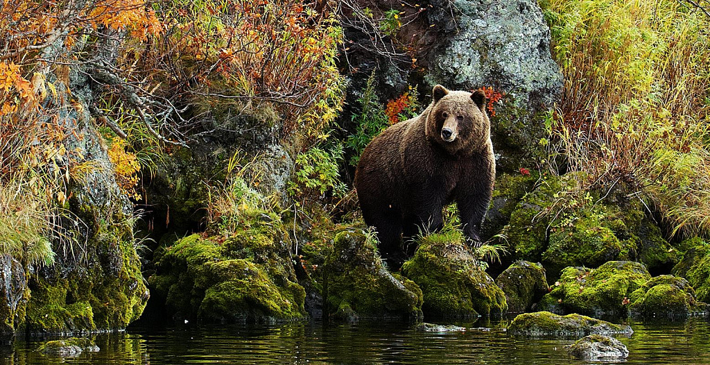 Фестиваль "Первозданная Россия". Изображение 7