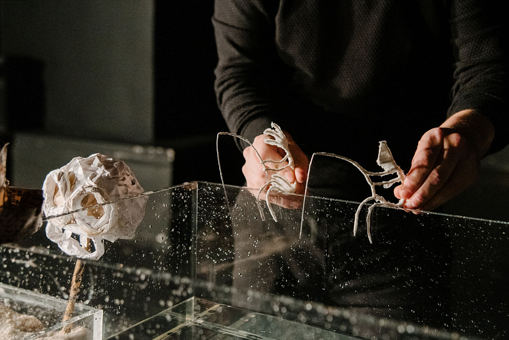 Дневник Робинзона. Изображение 1