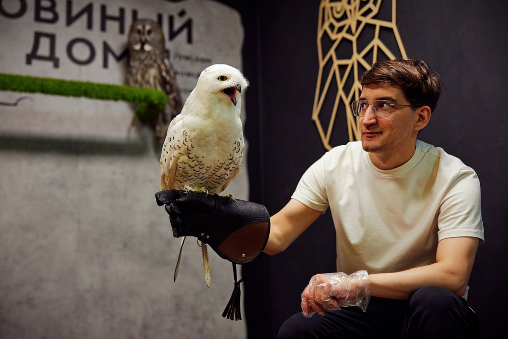 Антикафе "Совиный Дом" на Рижской. Изображение 2