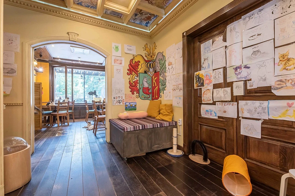 Котокафе "Котики и люди". Изображение 6