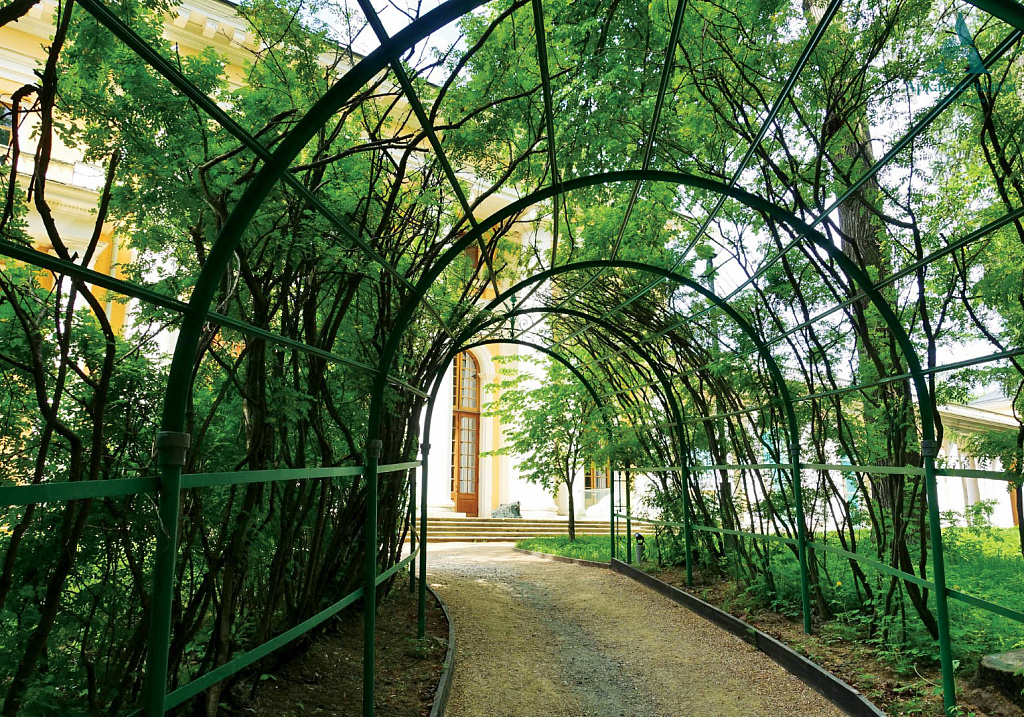 Музей-усадьба "Архангельское". Изображение 4