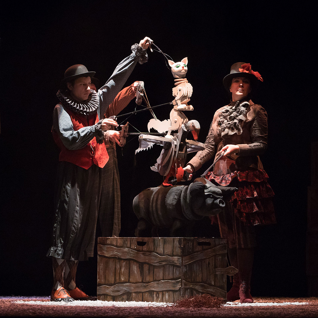 Каштанка (МТК). Изображение 4