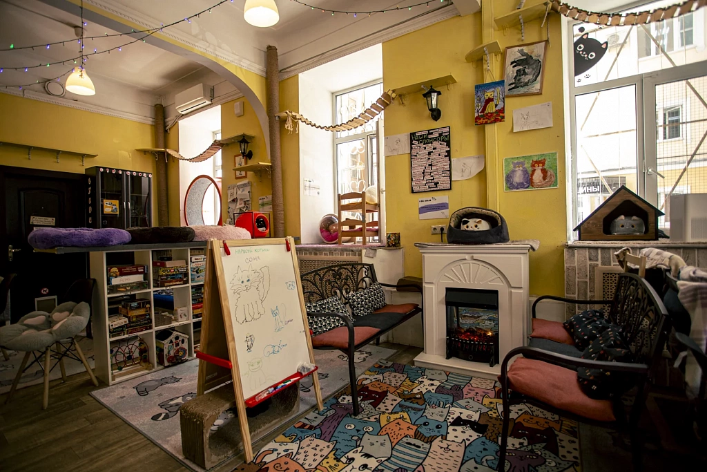 "Котофейня" на Маросейке. Изображение 5