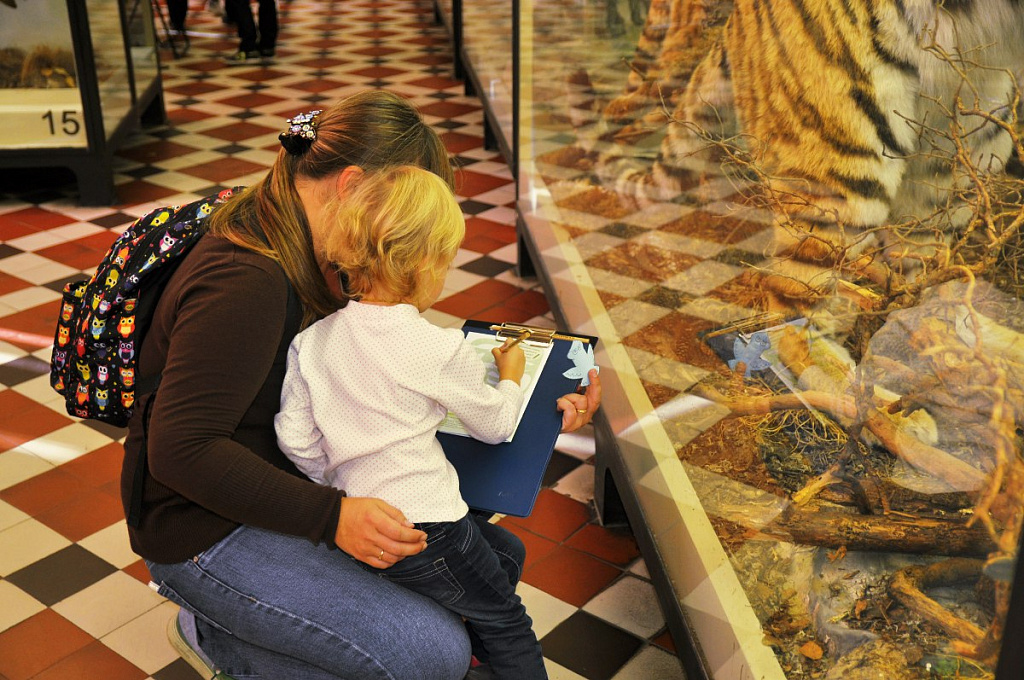 Зоологический музей МГУ. Изображение 6