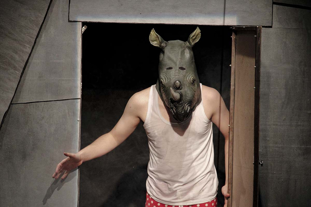 Носороги. Изображение 14