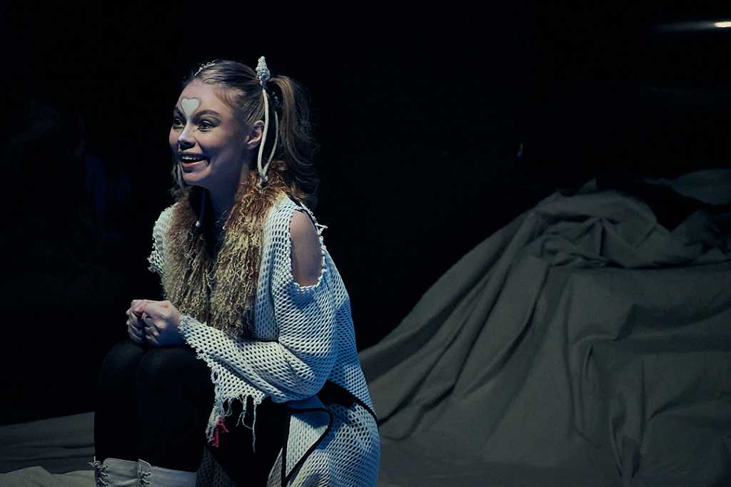 Собаки. Изображение 4