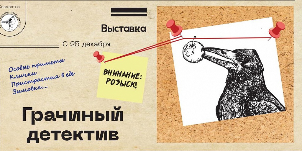 Выставка «Грачиный детектив (грач — птица 2025 года)». Изображение 1