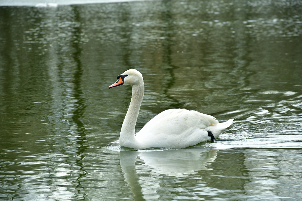 Парк "Сад будущего". Изображение 8