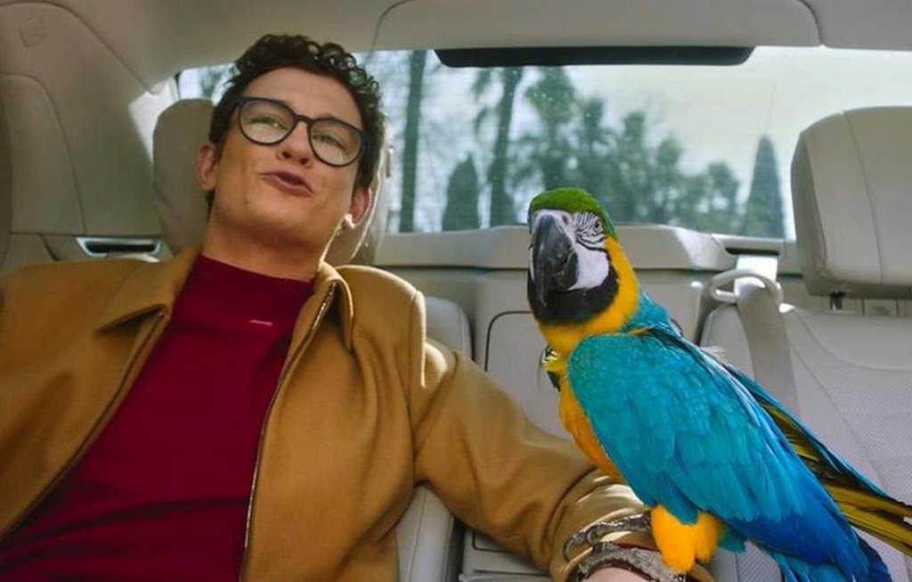 Возвращение попугая Кеши. Изображение 1