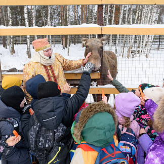 места, где можно пообщаться с животными зимой на улице