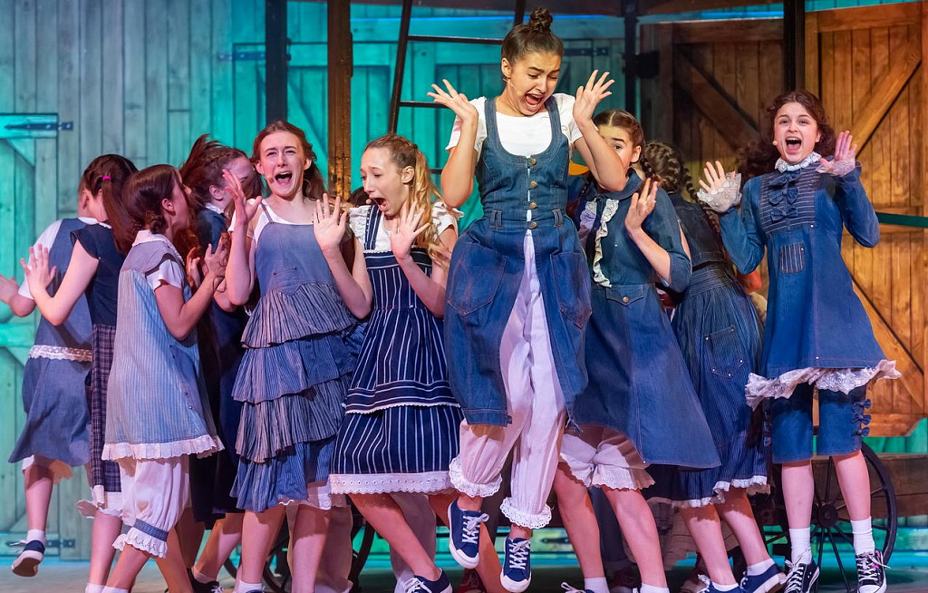 Приключения Тома Сойера (ДМТЮА). Изображение 5